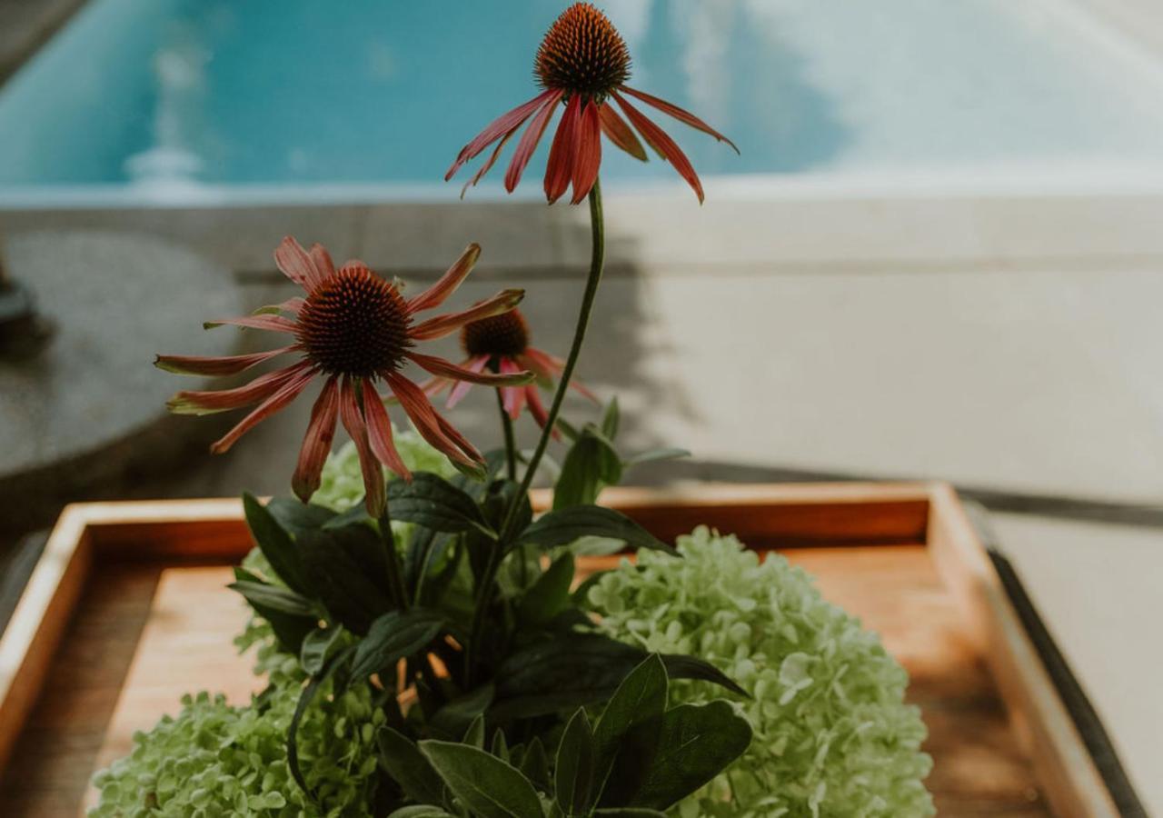 Appartement Klein Waldeck フェルプ エクステリア 写真